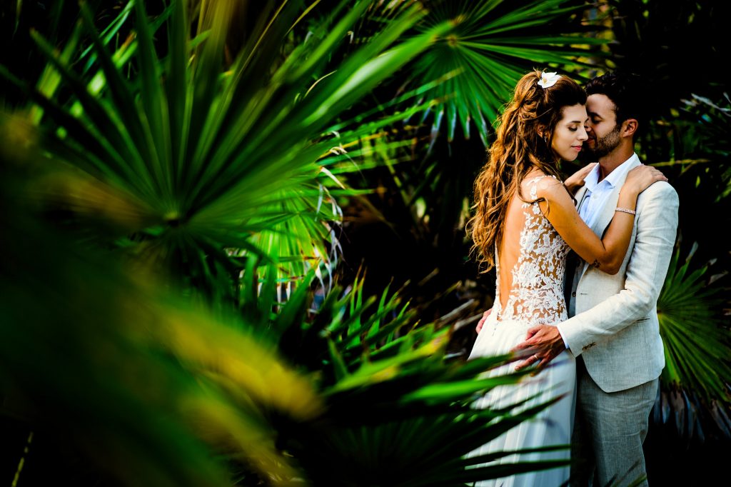 Boda palmeras